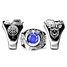 Deniz Harp Enstitüsü Yüzüğü 2019-1. Dönem, Milli Savunma Üniversitesi Yüzük, MSÜ Deniz Harp Enstitüsü Yüzük