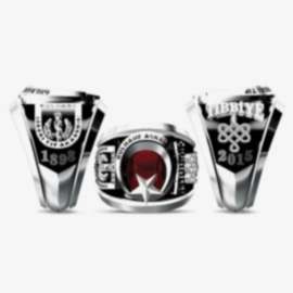 Gülhane Askeri Tıp Yüzüğü Tıbbıye 2015