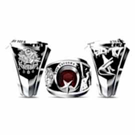 Hava Savunma Okulu Yüzüğü 2010