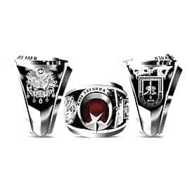 Hava Savunma Okulu Yüzüğü 2010