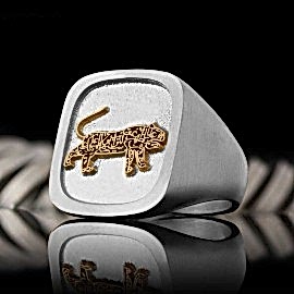 Hz. Ali Aslanı Yüzük