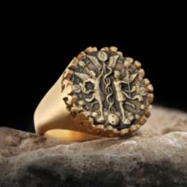 İkizler Burcu 925 Ayar Gümüş Yüzük