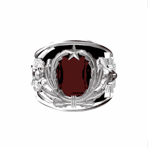 Jandarma Sahil Güvenlik Akademisi Yüzüğü IV JSGA