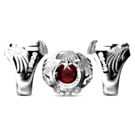 Kara Kuvvetleri Yüzüğü 2013 Cobra