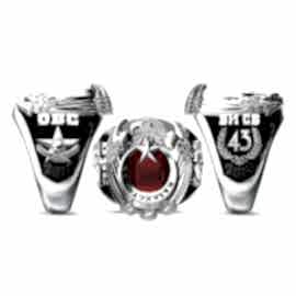 Kazakistan 43.Dönem 2011 - 2015 Yüzüğü