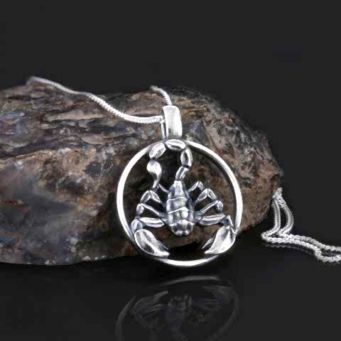 Kişiye Özel Gümüş Akrep Burcu Kolye