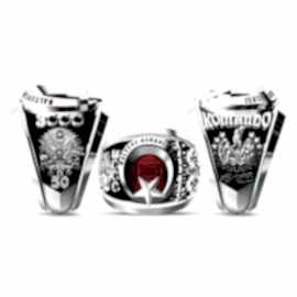 Maltepe Askeri Lisesi Yüzüğü 3000 Devresi - 50. Dönem