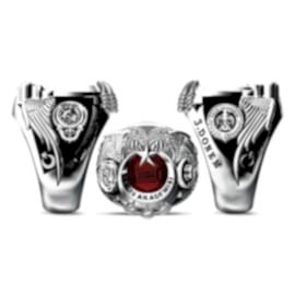 Polis Akademisi Yüzüğü 3.Dönem