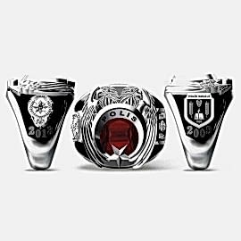 Polis Anı Yüzüğü 2013 – 2009