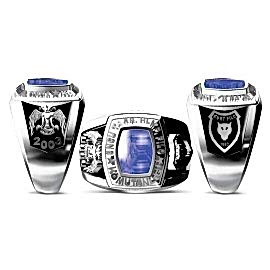 Terörle Mücadele Yüzüğü 3. Taar. Hlkp. Filo Komutanlığı