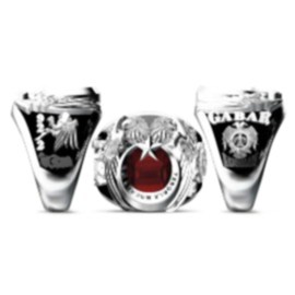 Terörle Mücadele Yüzüğü Gabar Kartalları 92/2