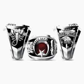 Terörle Mücadele Yüzüğü Şırnak Damlarca 88/4