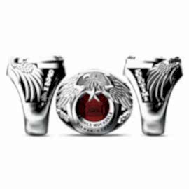 Terörle Mücadele Yüzüğü Şırnak Gabar Pusu Timi 92/4