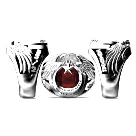 Terörle Mücadele Yüzüğü Şırnak Gabar