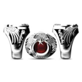 Hava Kuvvetleri Yüzüğü Deliler 2012