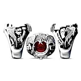 Türk Hava Kuvvetleri Yüzüğü 2015