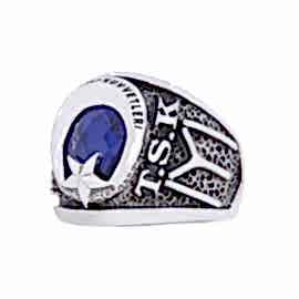 Türk Silahlı Kuvvetleri Yüzüğü 2017 IYI