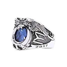 Türk Silahlı Kuvvetleri Yüzüğü IYI 2017