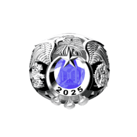 Türk Silahlı Kuvvetleri Yüzüğü TSK - KAMYO 2025