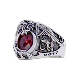 Türk Silahlı Kuvvetleri Yüzüğü 2017 TSK