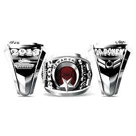 Uzman Çavuş Yüzüğü 2013 20. Dönem